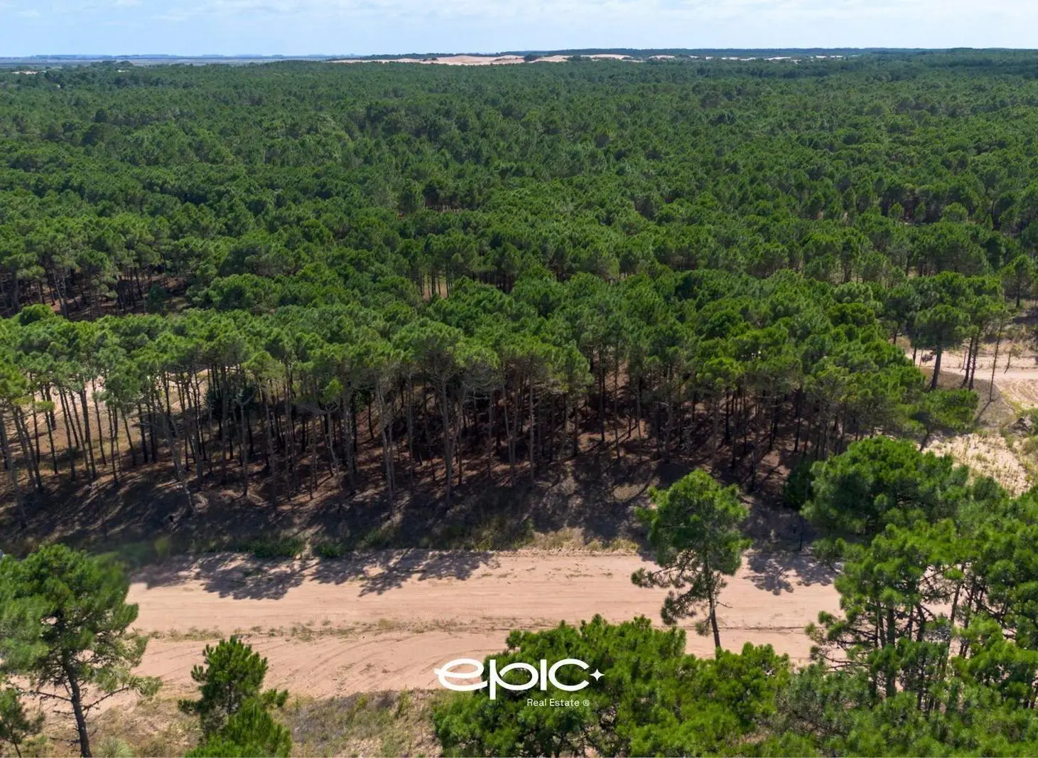 Terreno en Pinamar 5