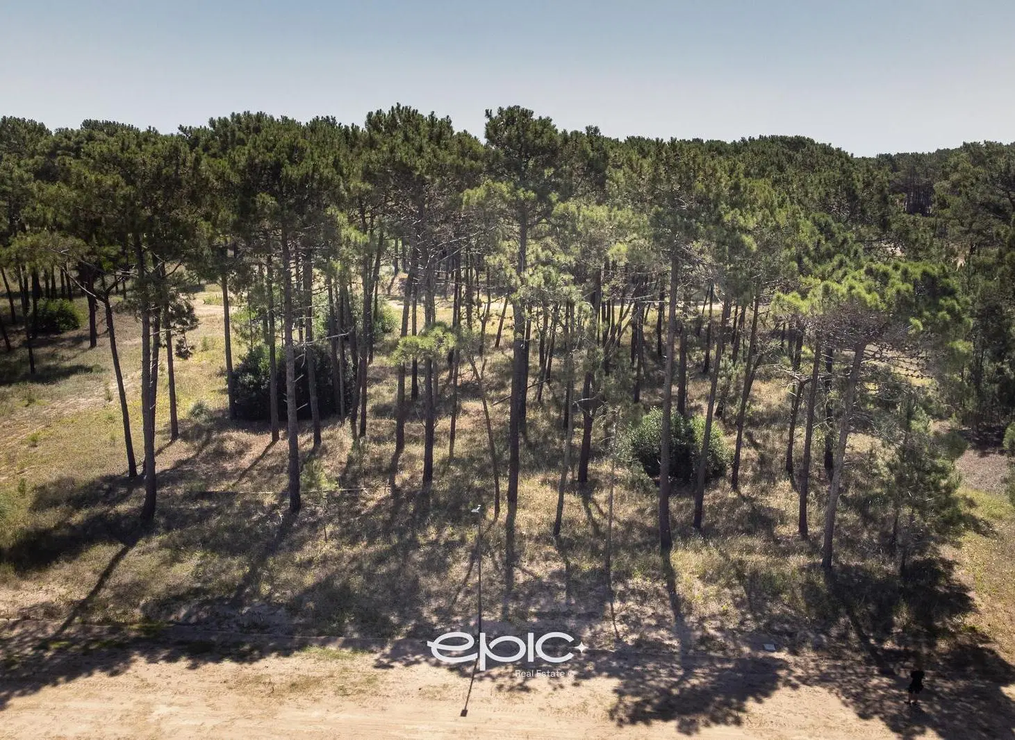 Lote en Venta financiado en Barrio Bosques Pinamar 2