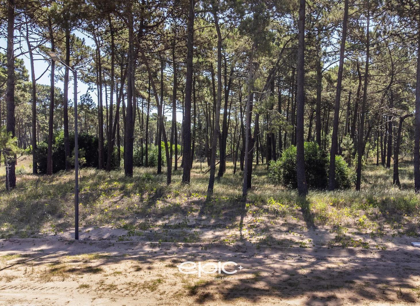Lote en Venta financiado en Barrio Bosques Pinamar