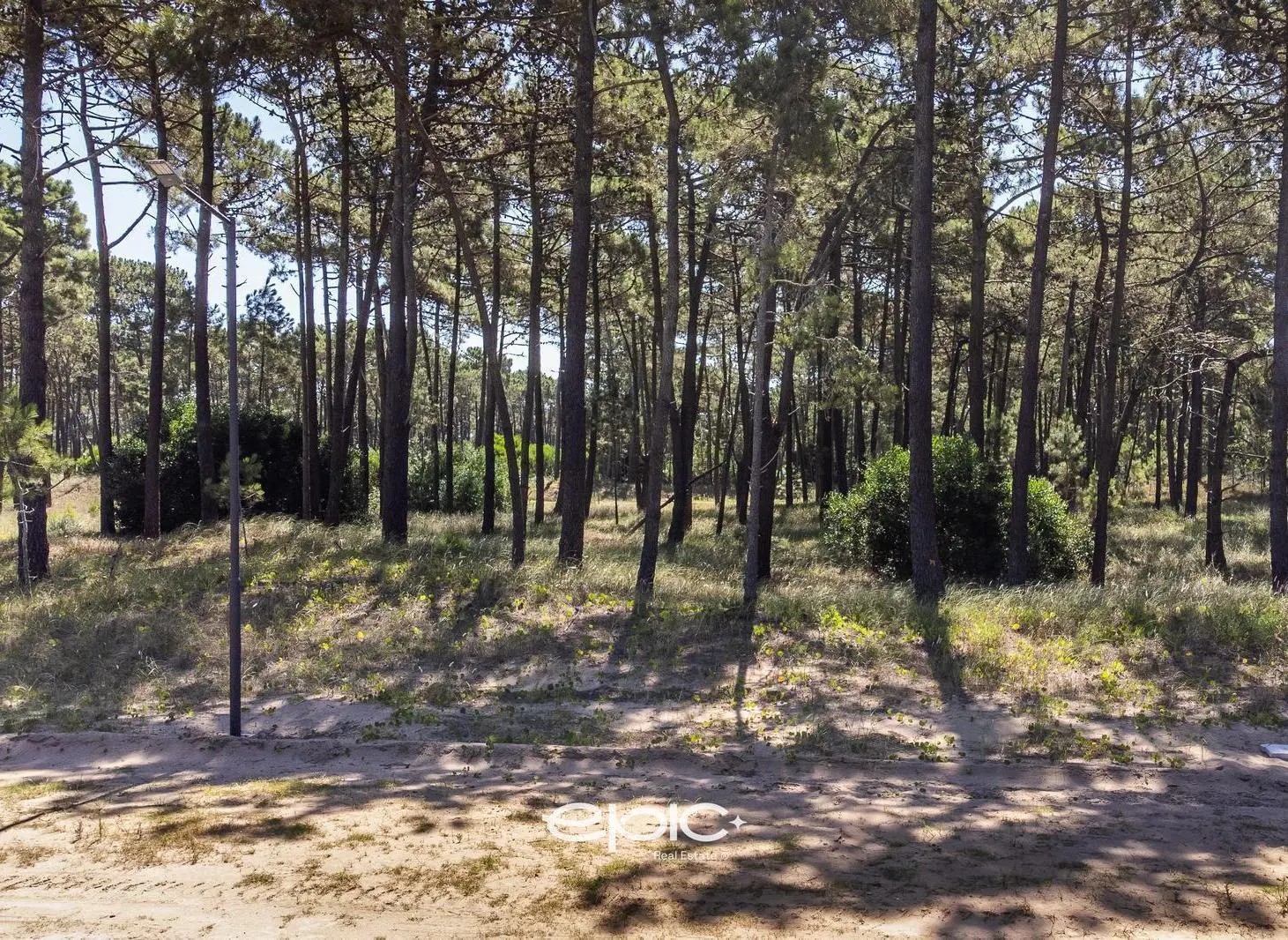 Lote en Venta financiado en Barrio Bosques Pinamar 4