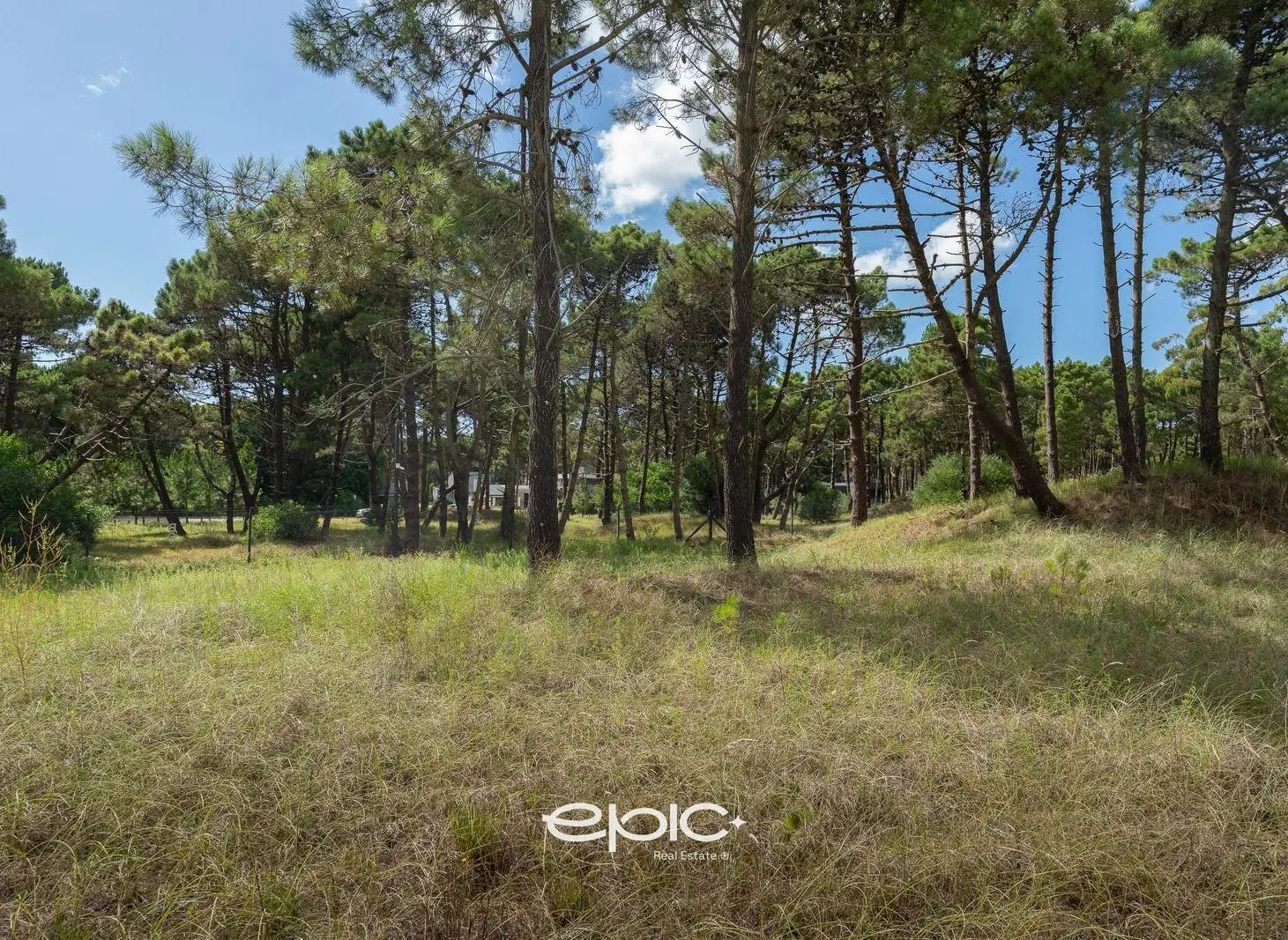 Lote en venta en Bosques Pinamar 2