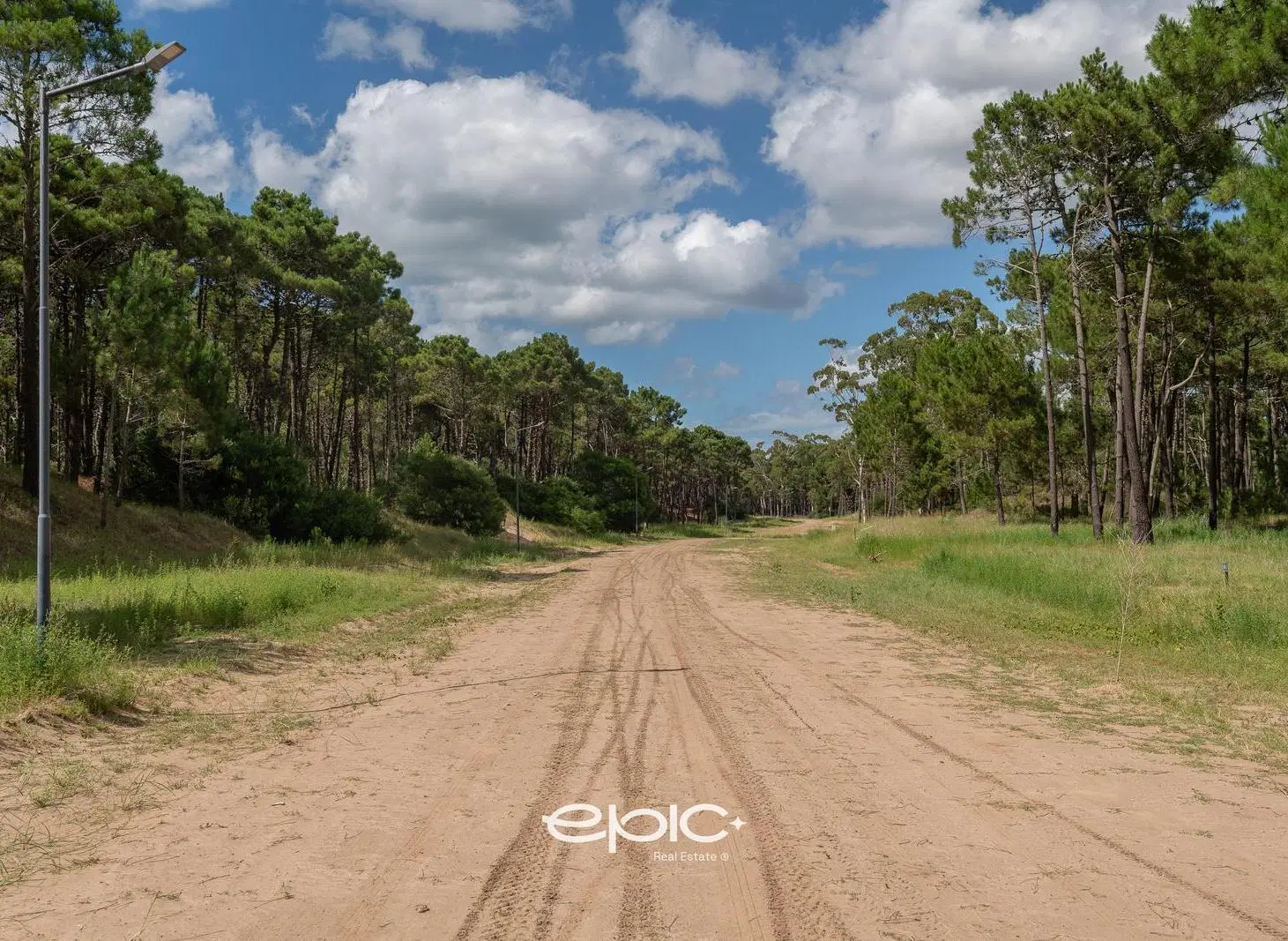 Lote en venta en Bosques Pinamar 5