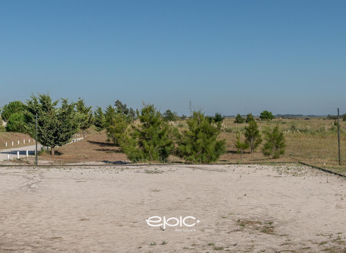 Foto de Lote en venta en El Salvaje, imagen 1