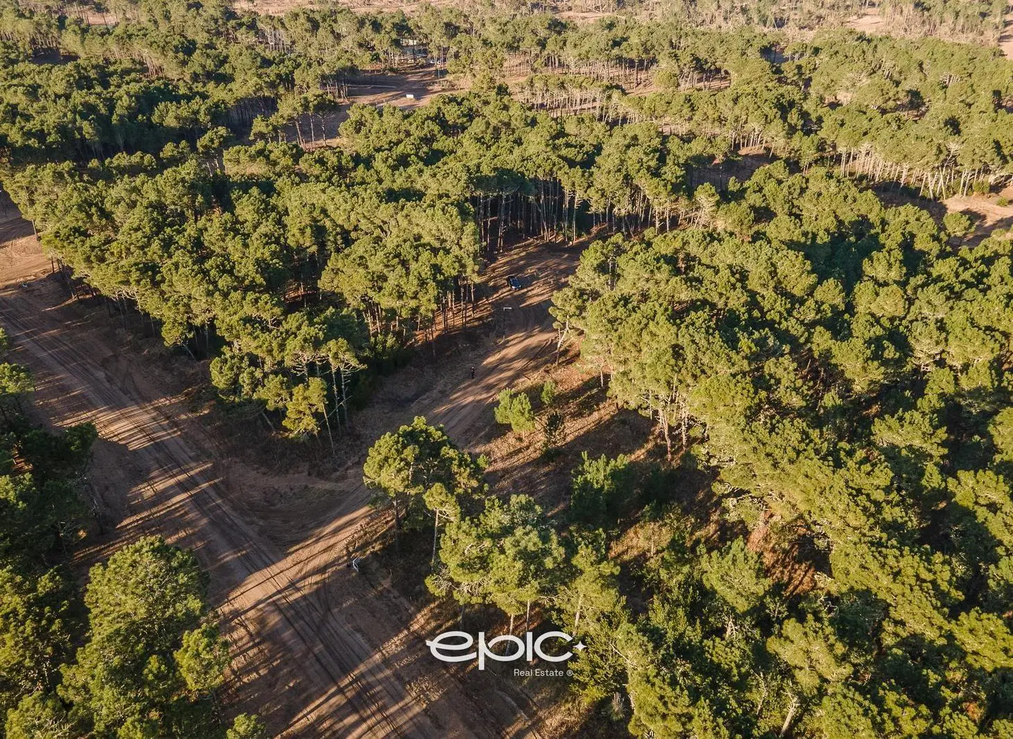Lote Premium en venta Barrio Bosques (Pinamar Norte) Ubicación Única en Cul de Sac 5