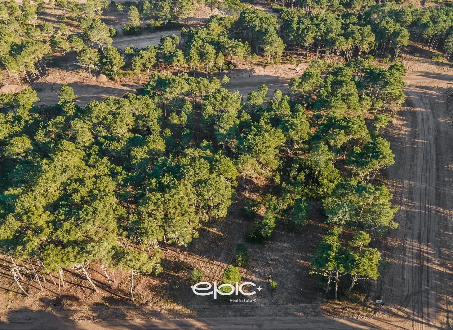 Lote Premium en venta Barrio Bosques (Pinamar Norte) Ubicación Única en Cul de Sac 4