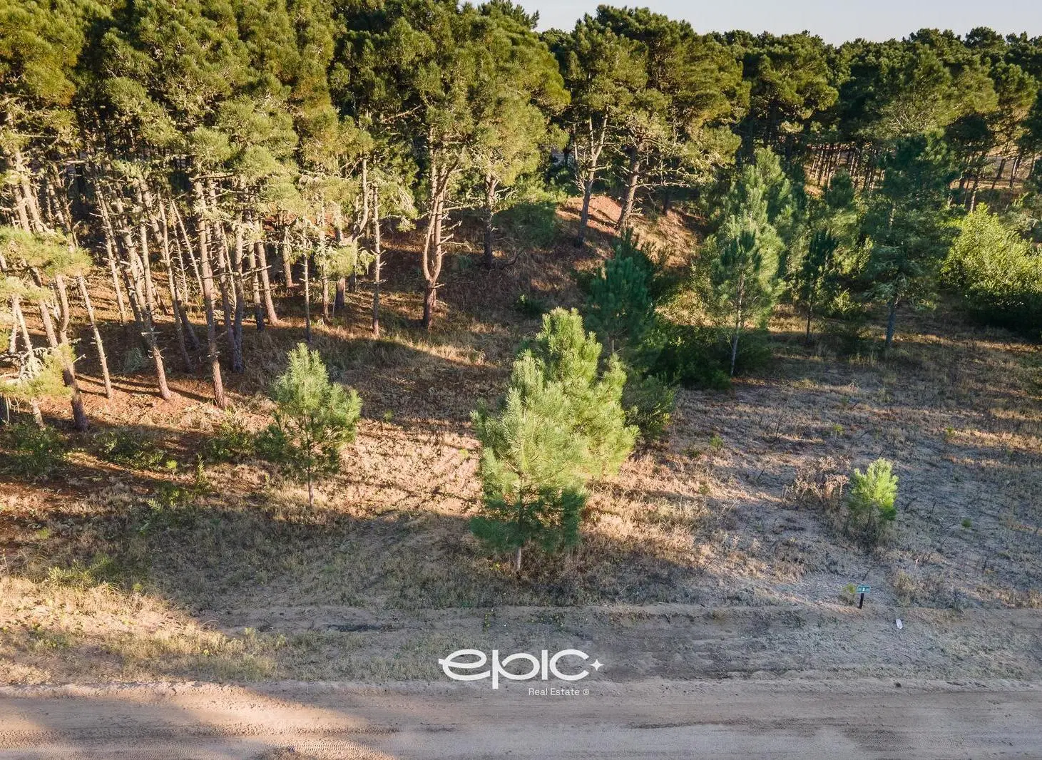 Lote Premium en venta Barrio Bosques (Pinamar Norte) Ubicación Única en Cul de Sac 2