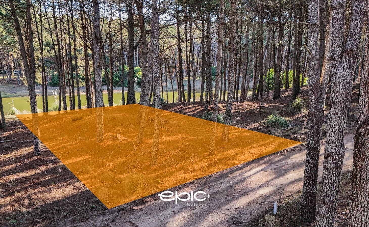 Foto de Lote en venta Villarobles, imagen 3