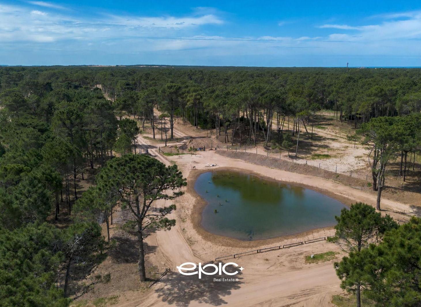 Foto de Terreno en venta en Bosques, Pinamar, imagen 2