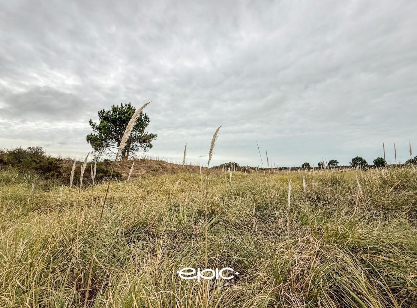 Foto de Lote en venta El Salvaje Villa Gesell, imagen 4