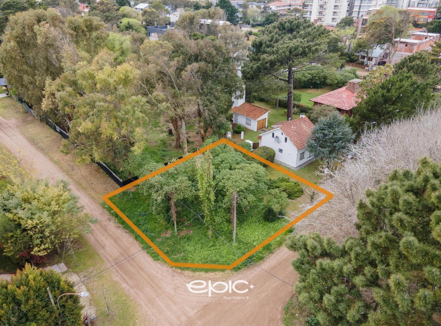 Foto de Terreno multifamiliar en Venta Mar de ostende Pinamar, imagen 3