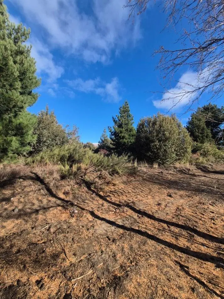 Lote en Venta Abedules 4
