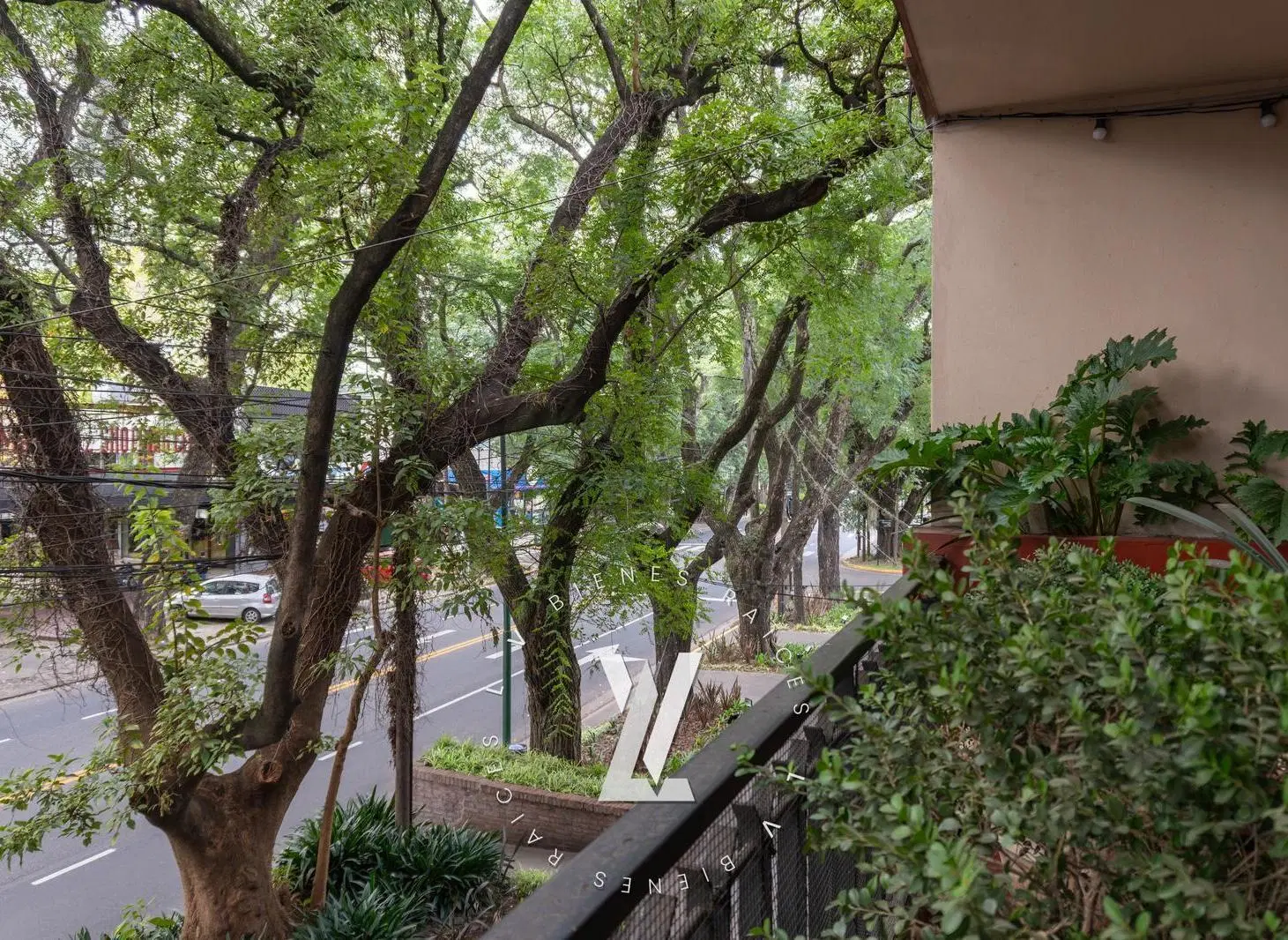 Departamento 3 ambientes en venta en Martinez 3