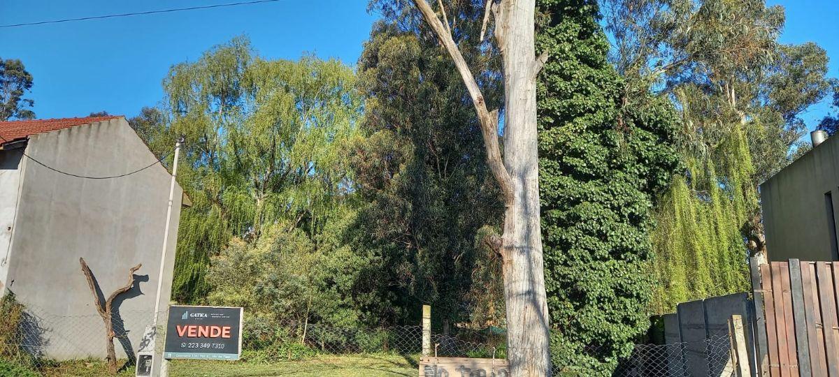Foto de EXCELENTE LOTE EN VENTA EN BOSQUE PERALTA RAMOS, imagen 5