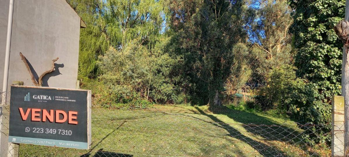 Foto de EXCELENTE LOTE EN VENTA EN BOSQUE PERALTA RAMOS, imagen 4