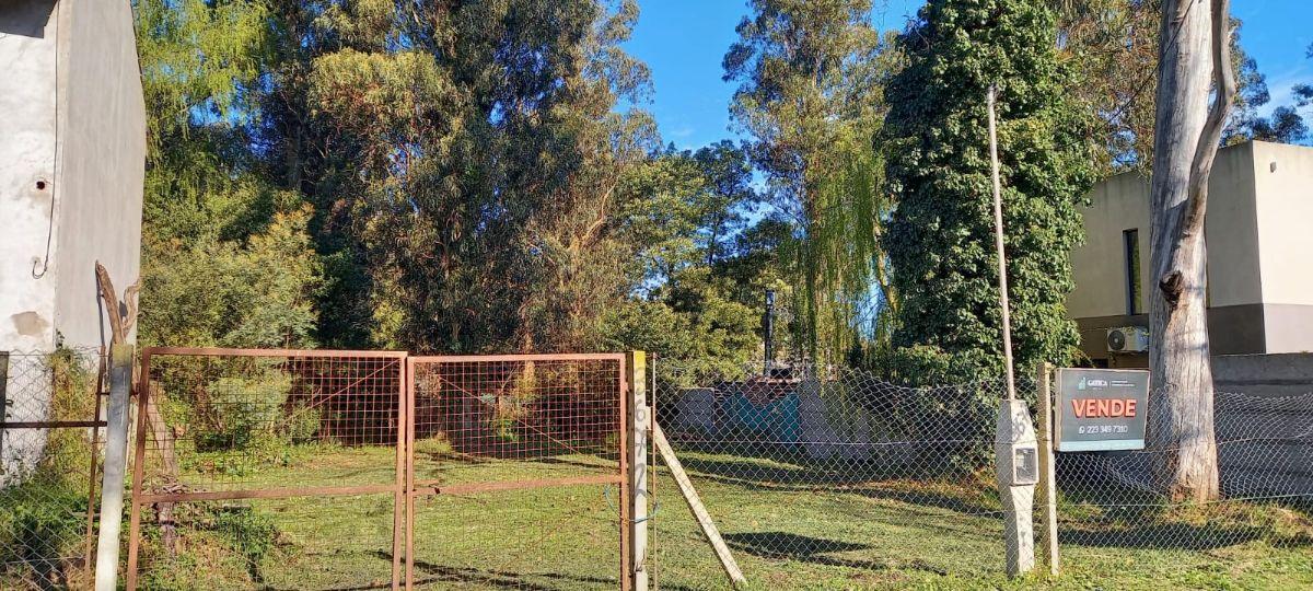 Foto de EXCELENTE LOTE EN VENTA EN BOSQUE PERALTA RAMOS, imagen 3