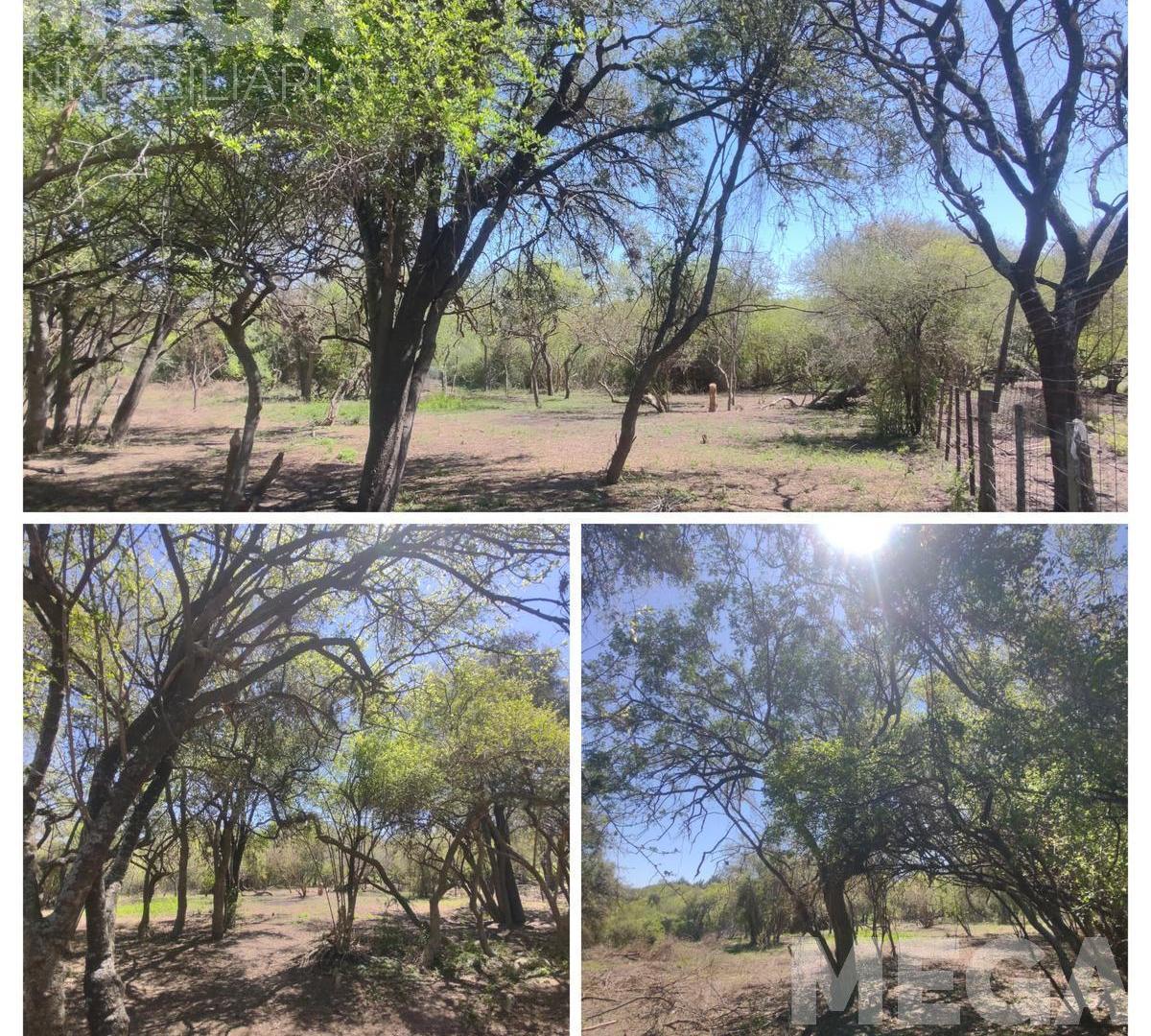 Terreno en General Alvear