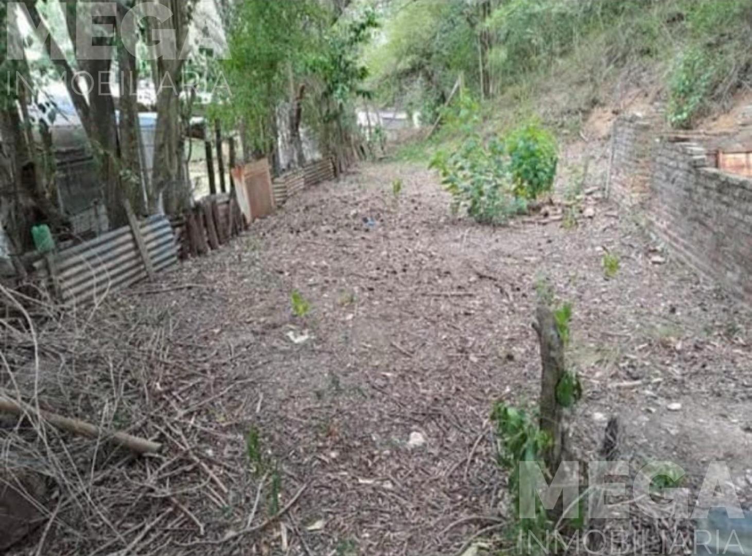 Foto de Puerto Curtiembre. Terreno en Venta en Rosario del Tala!, imagen 3