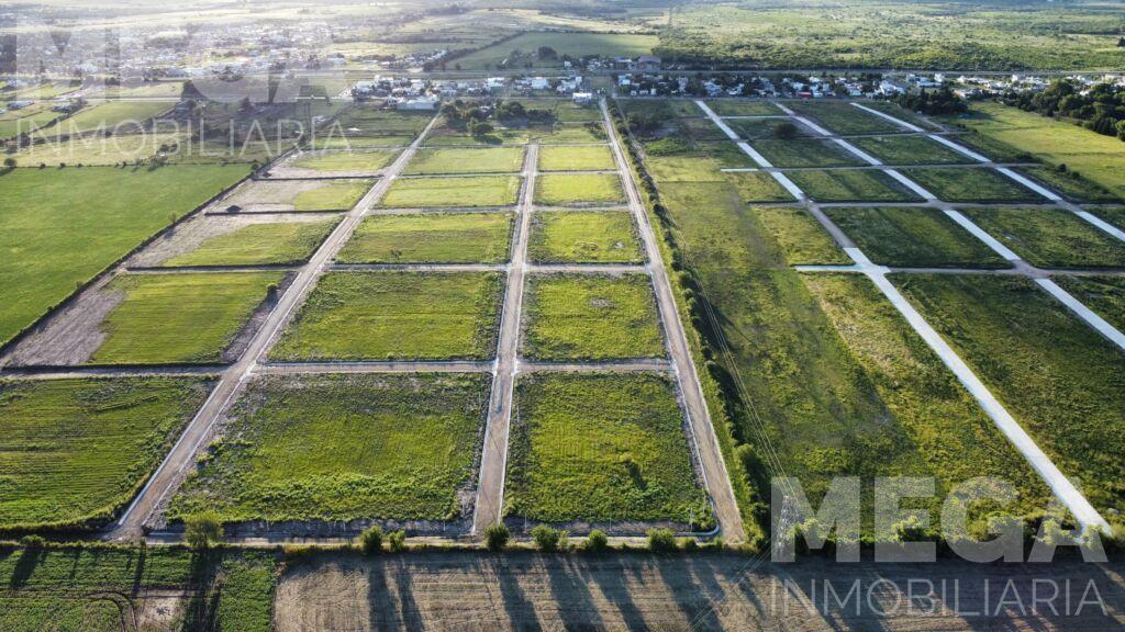 Foto de Terreno en Venta Oro verde, imagen 1