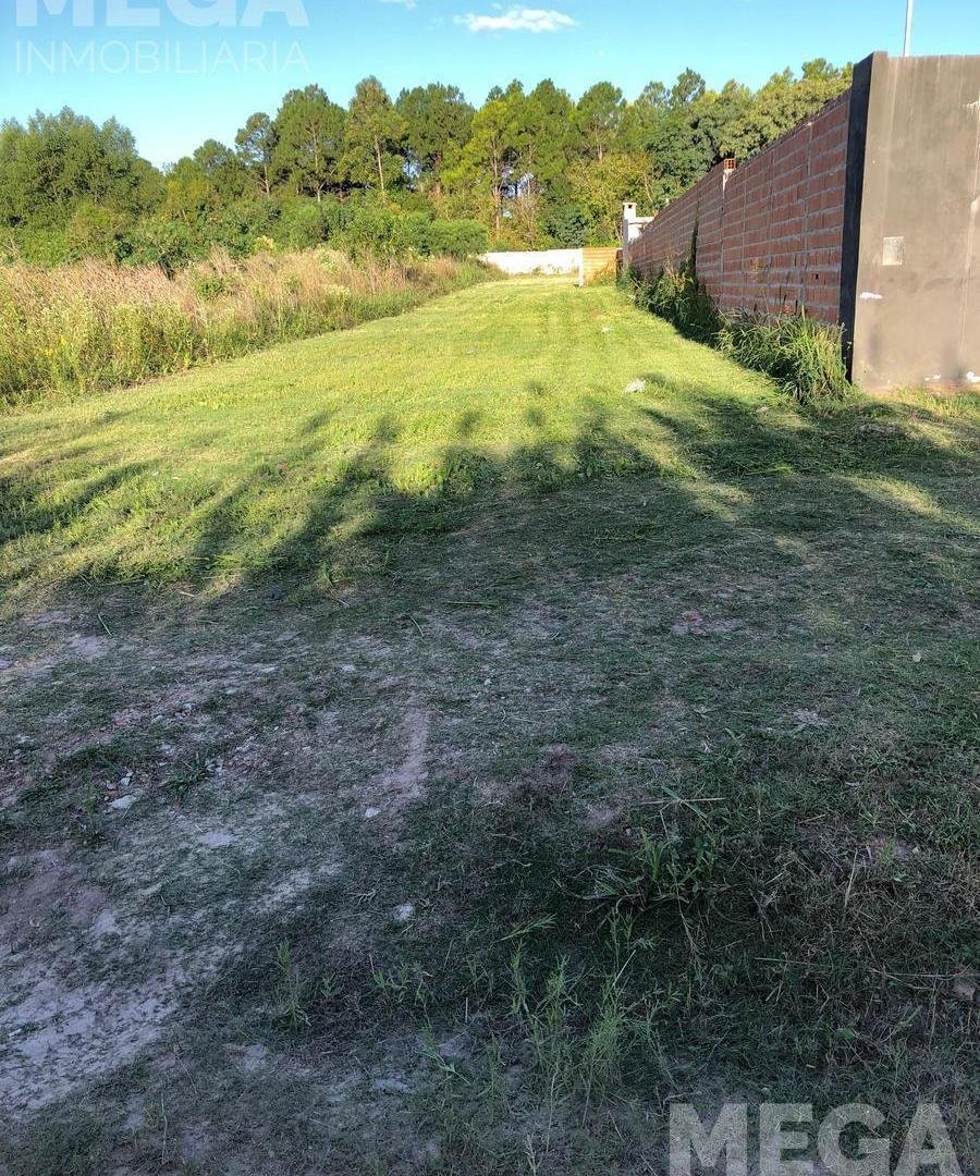 Foto de Lote en venta - Avenida Francisco Ramirez y Juan B. Justo, imagen 4