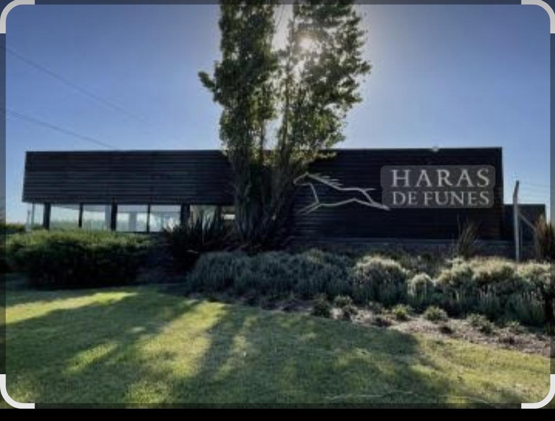 Foto de Lote Haras de Funes, imagen 3