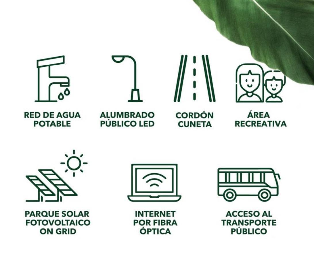 Foto de Departamento en Los Pinos 4, imagen 5