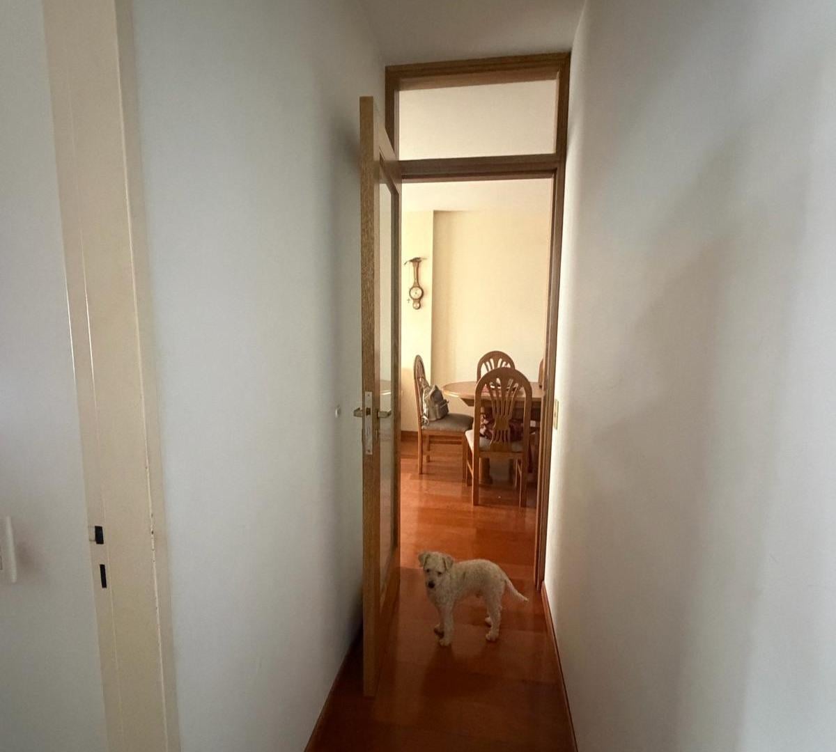 Foto de Departamento - Centro, imagen 3