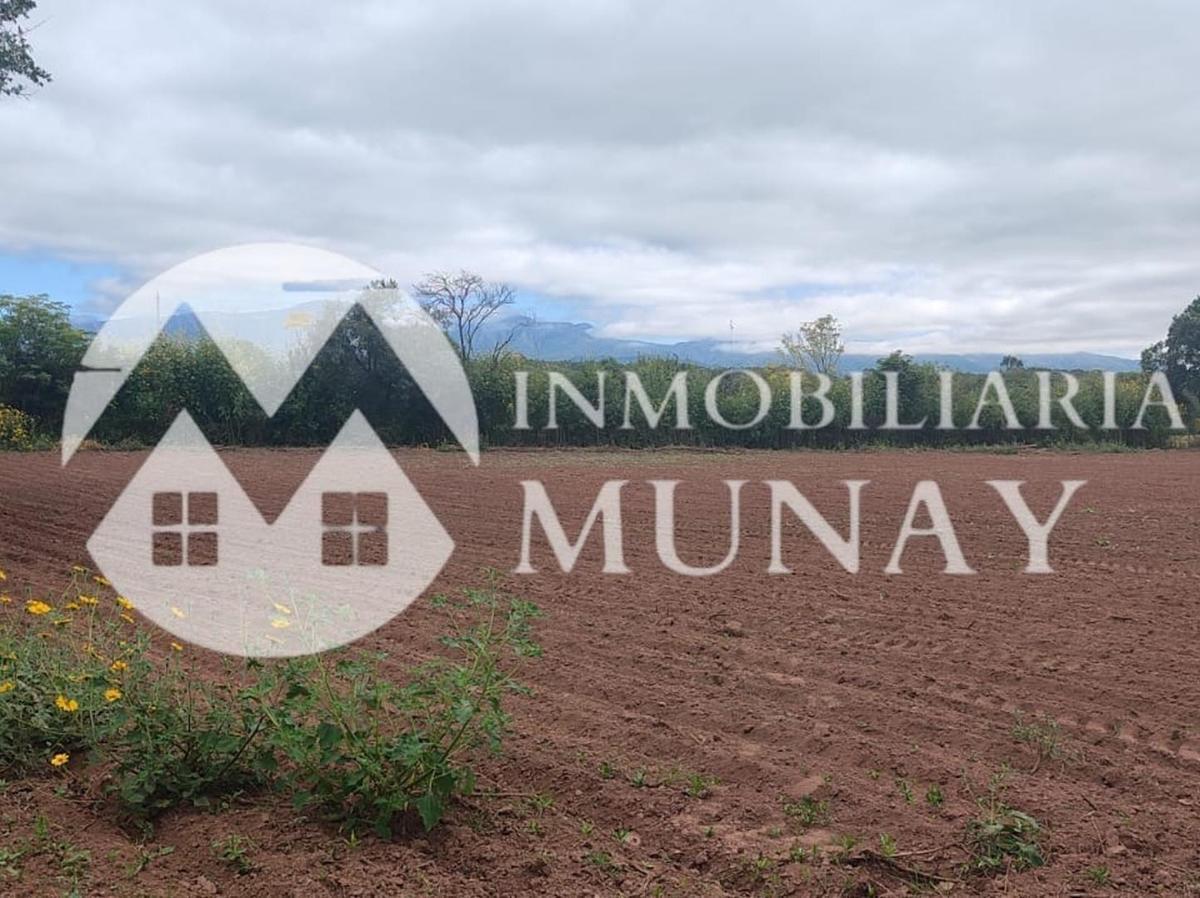 Vende Terreno en Coronel Moldes 4