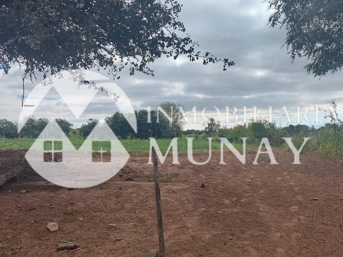 Vende Terreno en Coronel Moldes 3