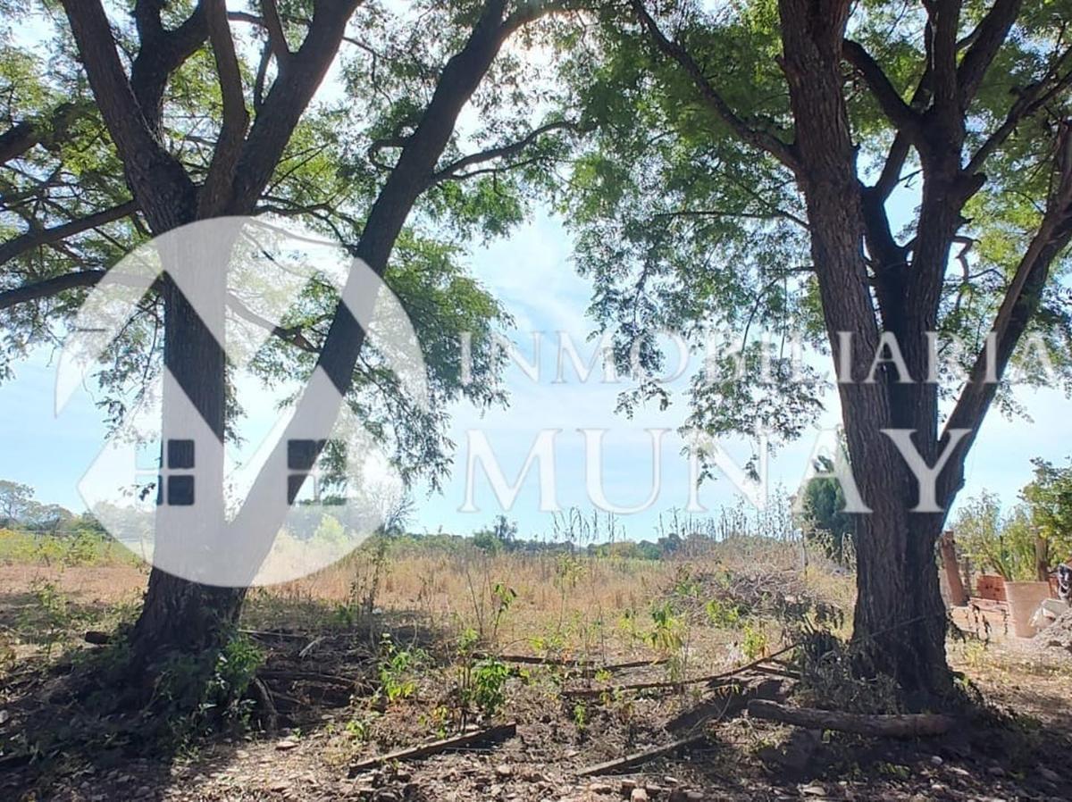 Vende Terreno en Coronel Moldes 5