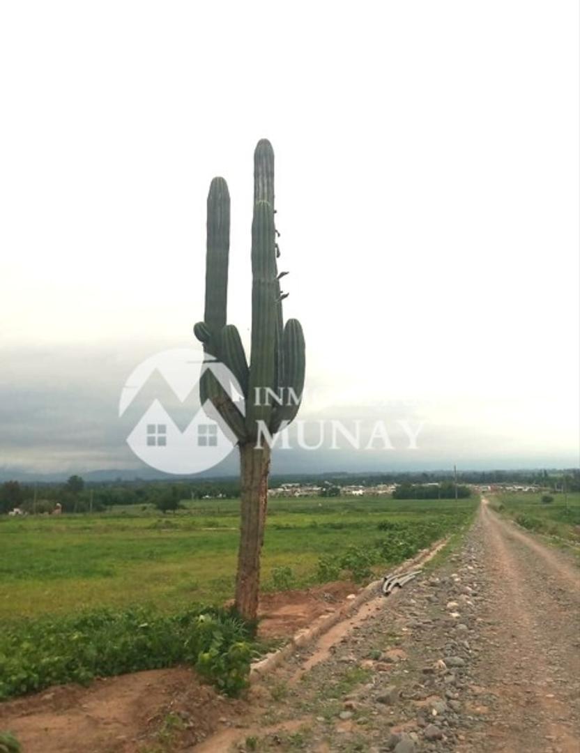 Venta Terreno en Boulevard Bellavista Cerrillos 5