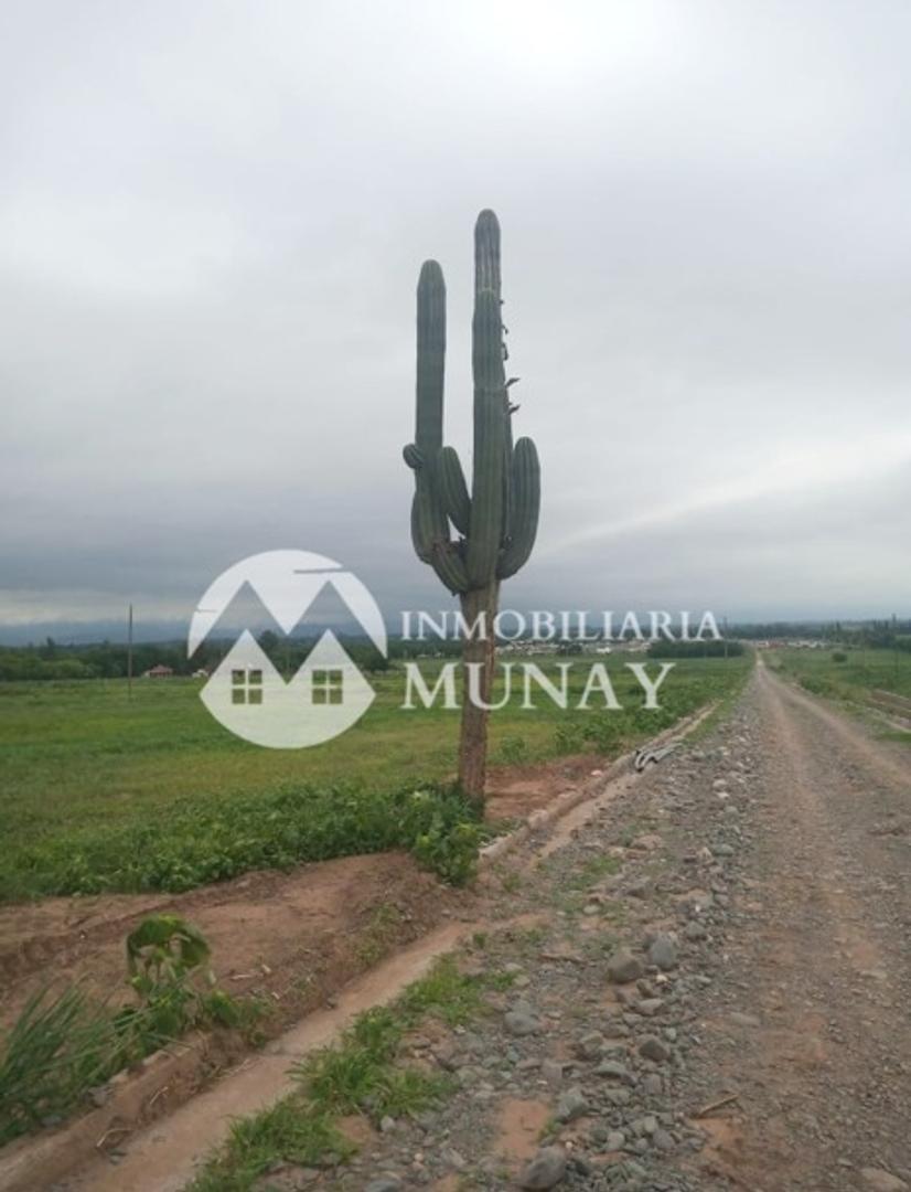 Venta Terreno en Boulevard Bellavista Cerrillos 4