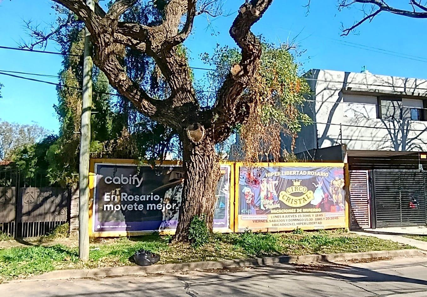 Foto de Venta Terreno en La Florida - Rosario-, imagen 3
