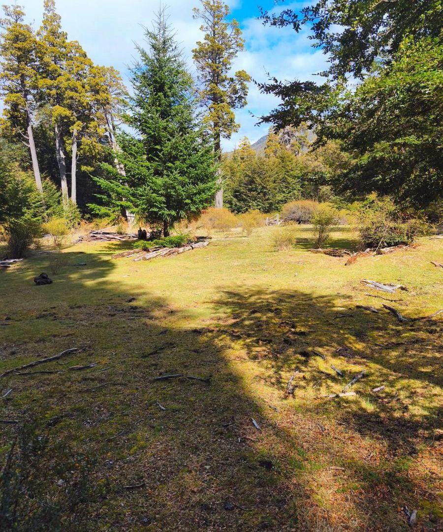 Lote de 70 Hectáreas en Villa La Angostura, (Brazo Huemul).