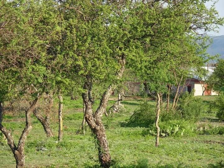 Campo en Venta en Tanti Punilla de 83 Ha 5