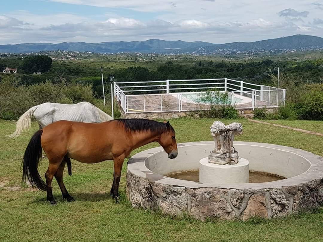 Campo en Venta en Tanti Punilla de 83 Ha 3