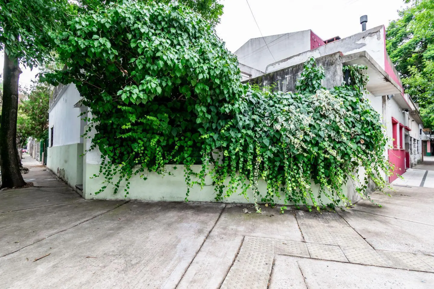 Lote . | Sierra Grande al 2600 3