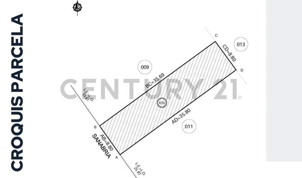 Plano 5