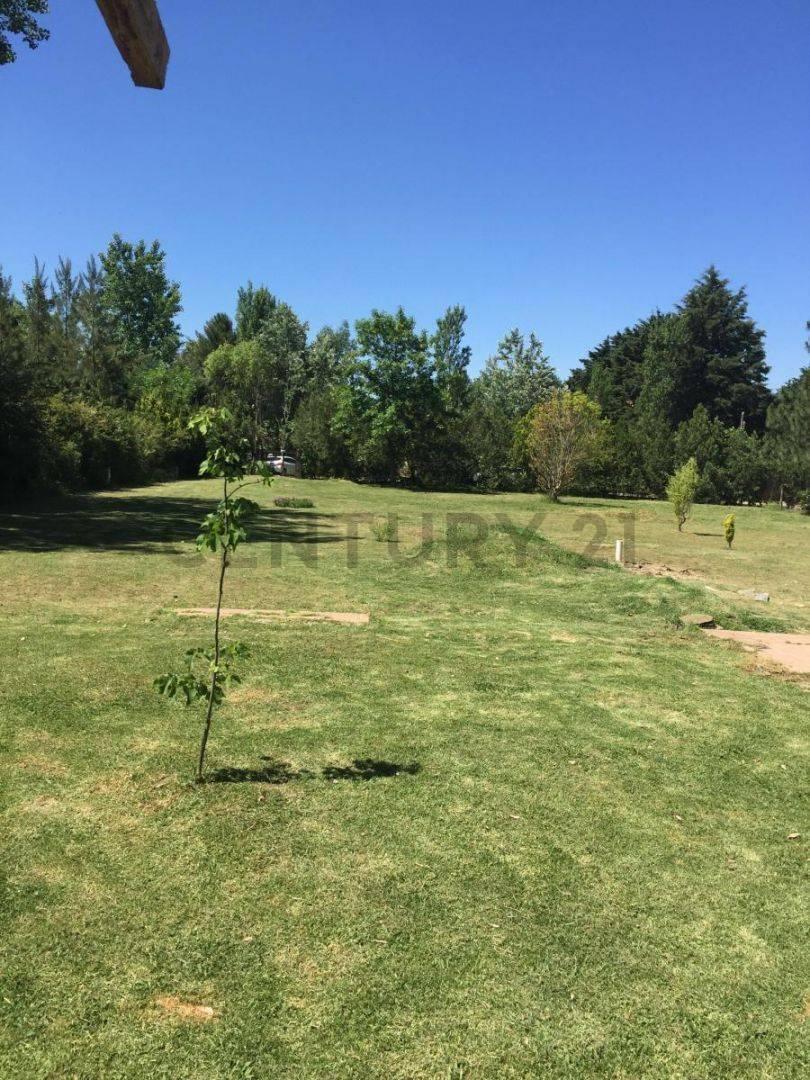 Foto de Venta de Quinta 4 AMBIENTES en Francisco Alvarez, Moreno, imagen 4