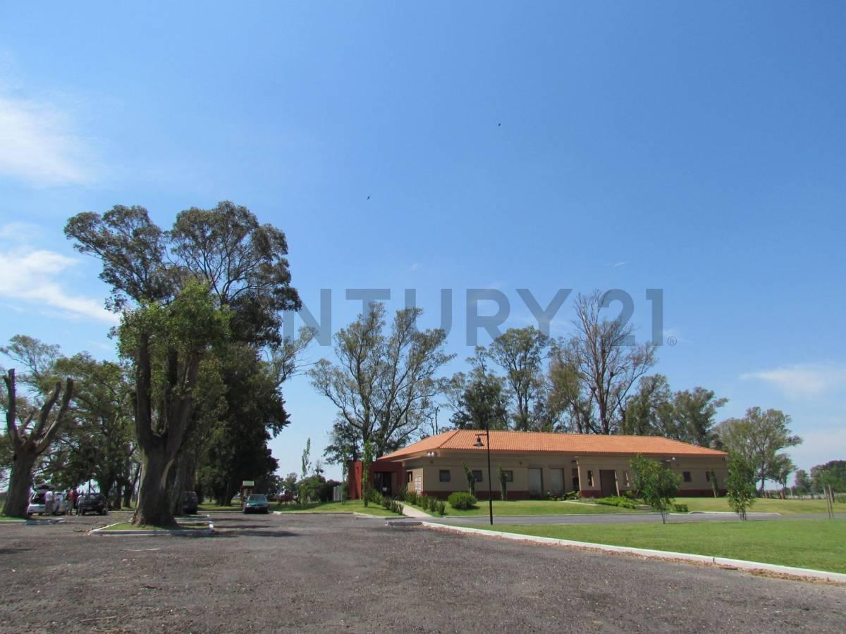 Foto de VENTA LOTE EN BARRIO SAN LUCAS, SAN VICENTE, imagen 1