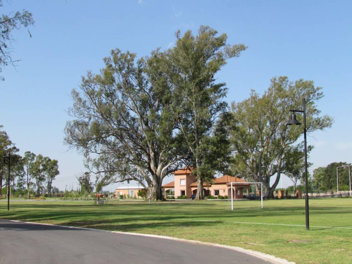 Foto de VENTA LOTE EN BARRIO SAN LUCAS, SAN VICENTE, imagen 3