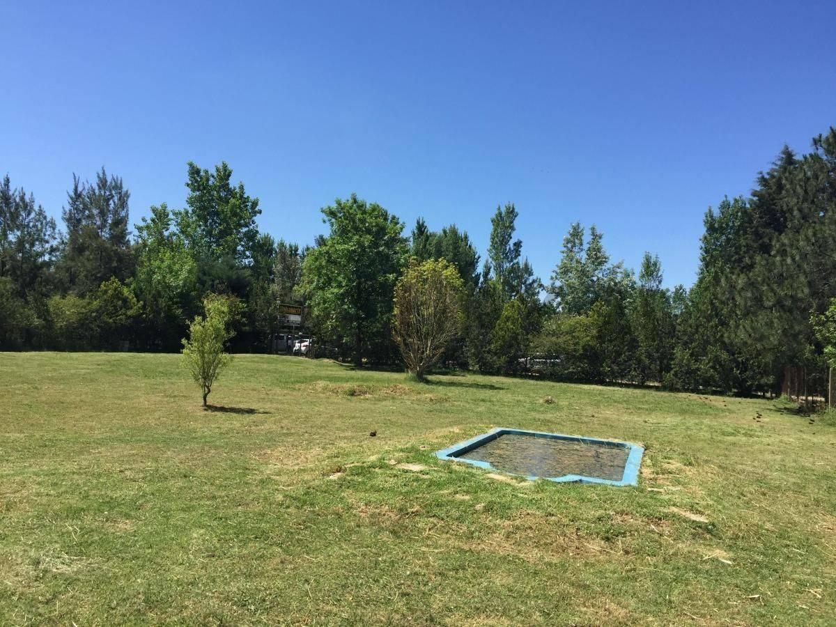 Foto de VENTA CASA QUINTA 4 AMBIENTES EN FRANCISCO ALVAREZ MORENO, imagen 3