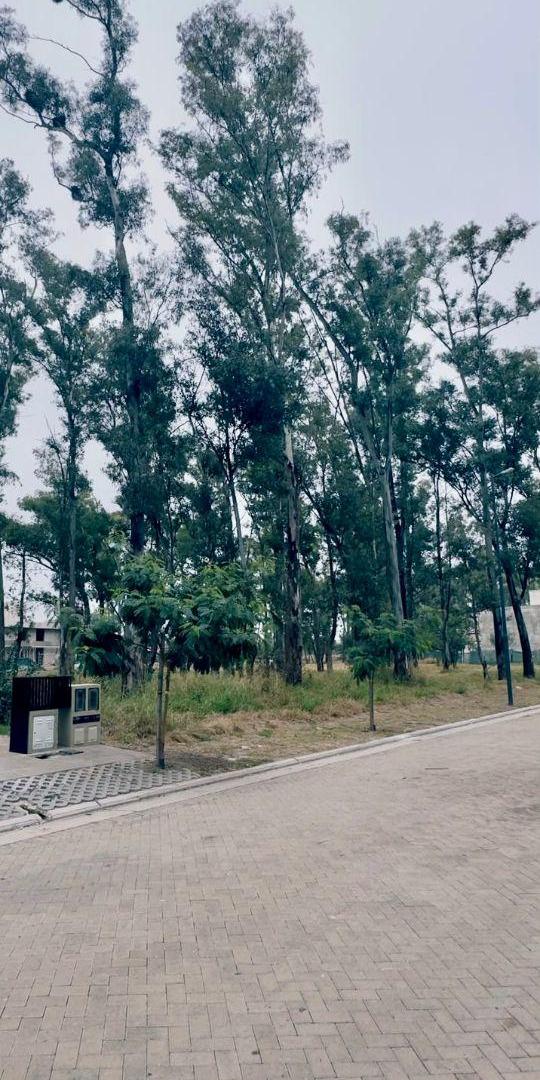 Foto de Lote en Nuevo Malagueño, imagen 3