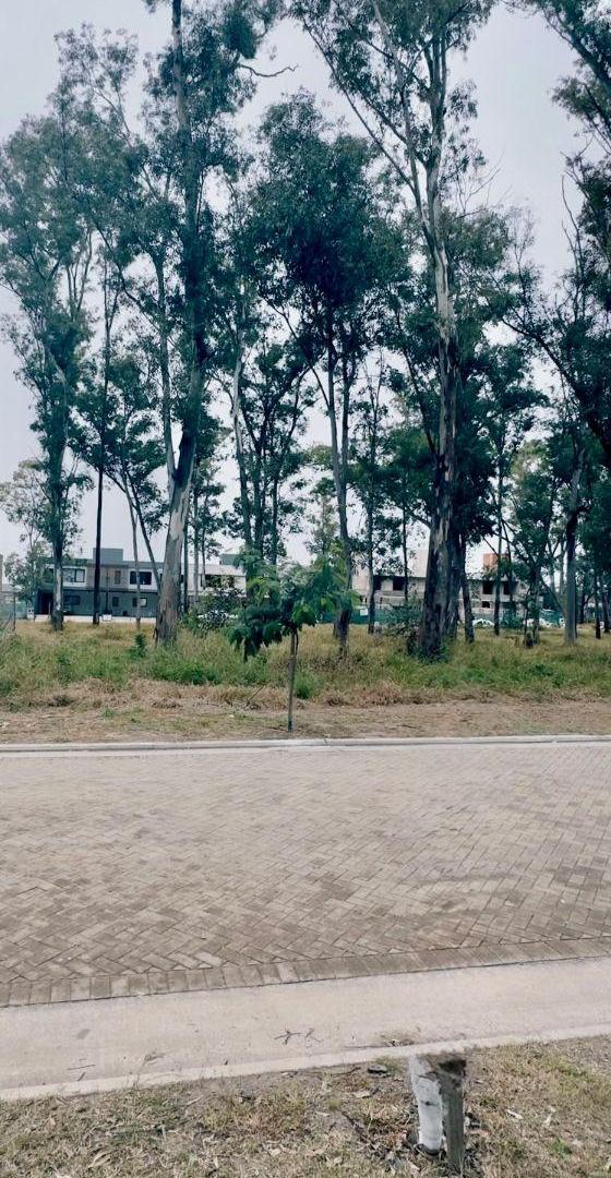 Foto de Lote en Nuevo Malagueño, imagen 2