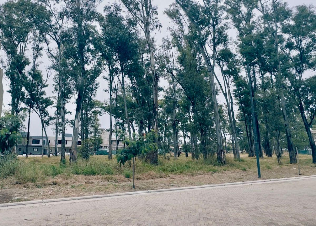 Foto de Lote en Nuevo Malagueño, imagen 4