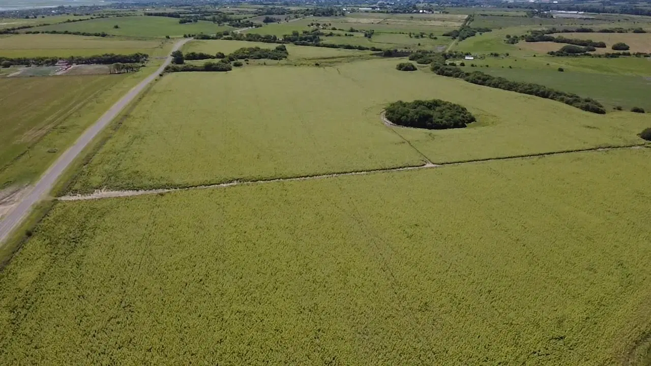 Campo en Victoria 2