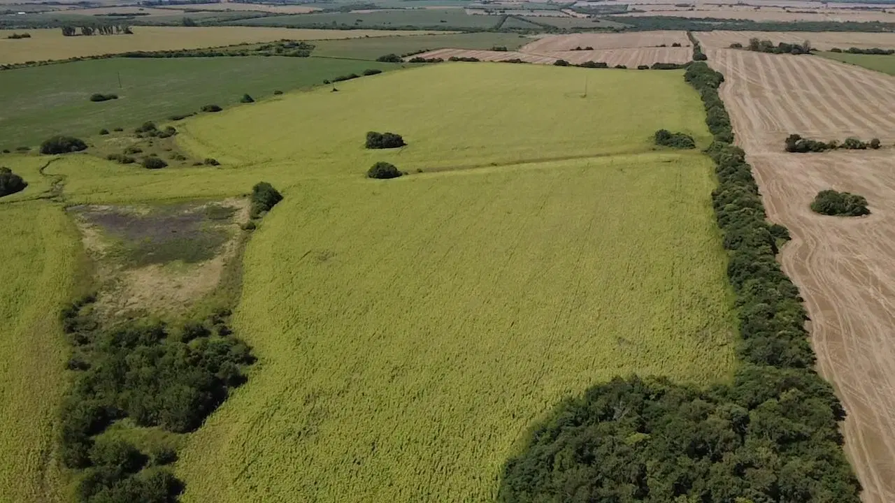 Campo en Victoria 4