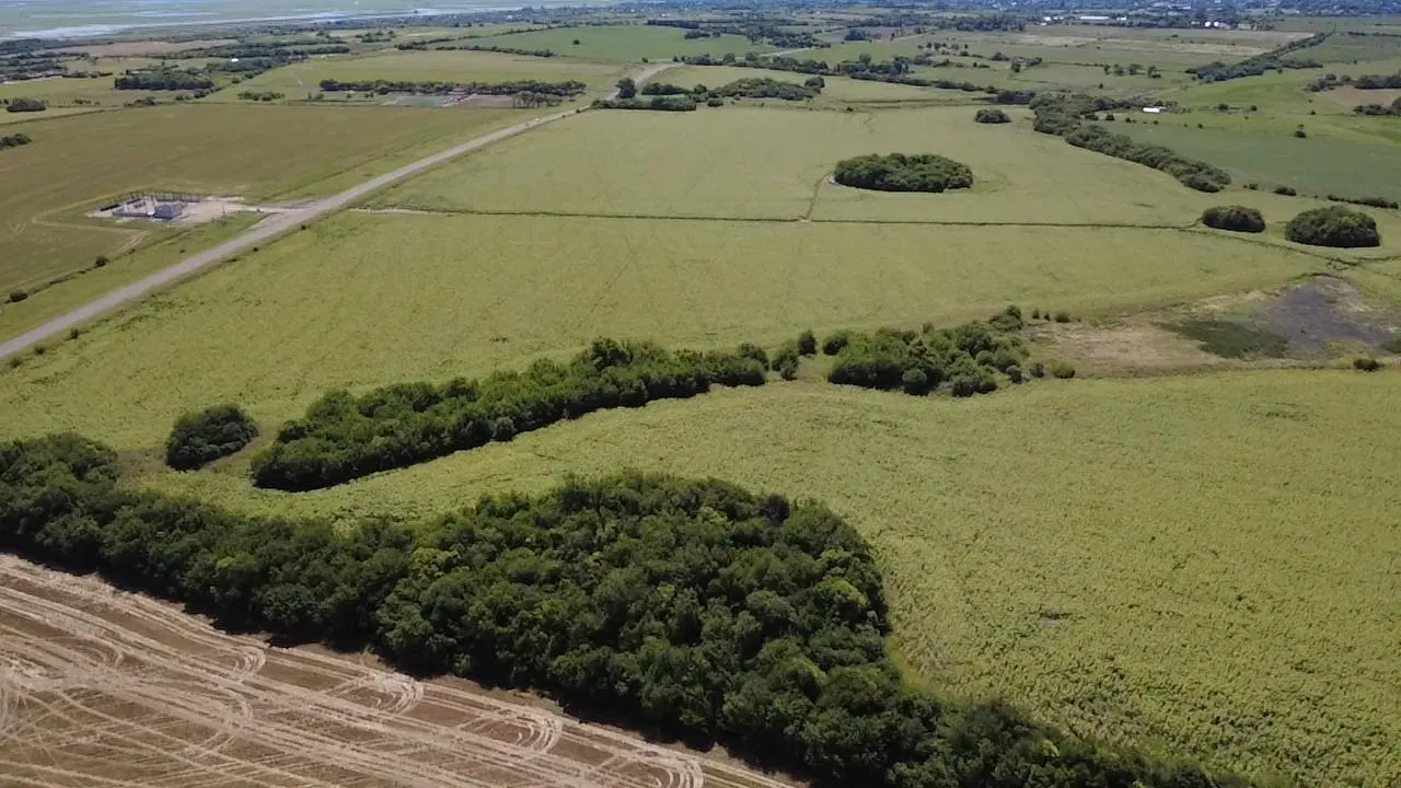 Campo en Victoria 5