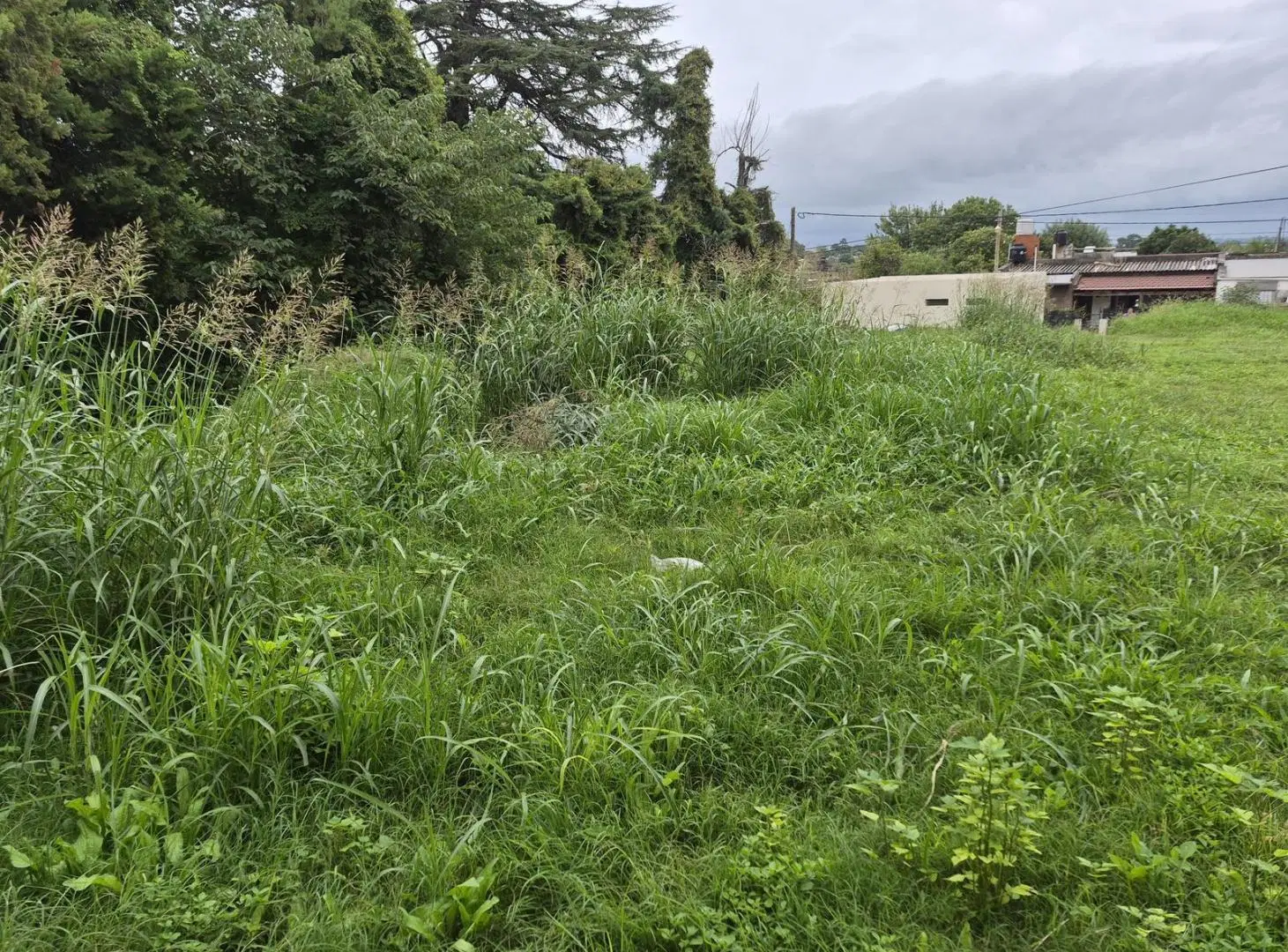 Terreno en Victoria 1