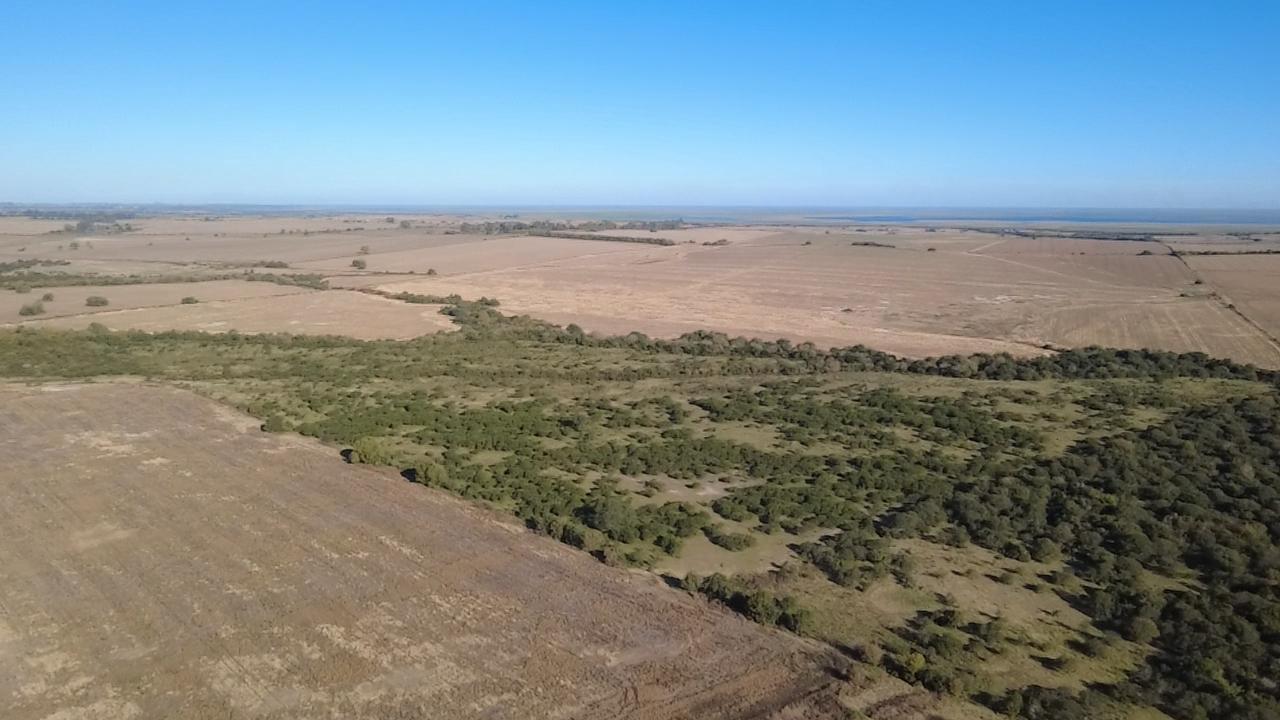 Foto de Campo en Victoria, imagen 1