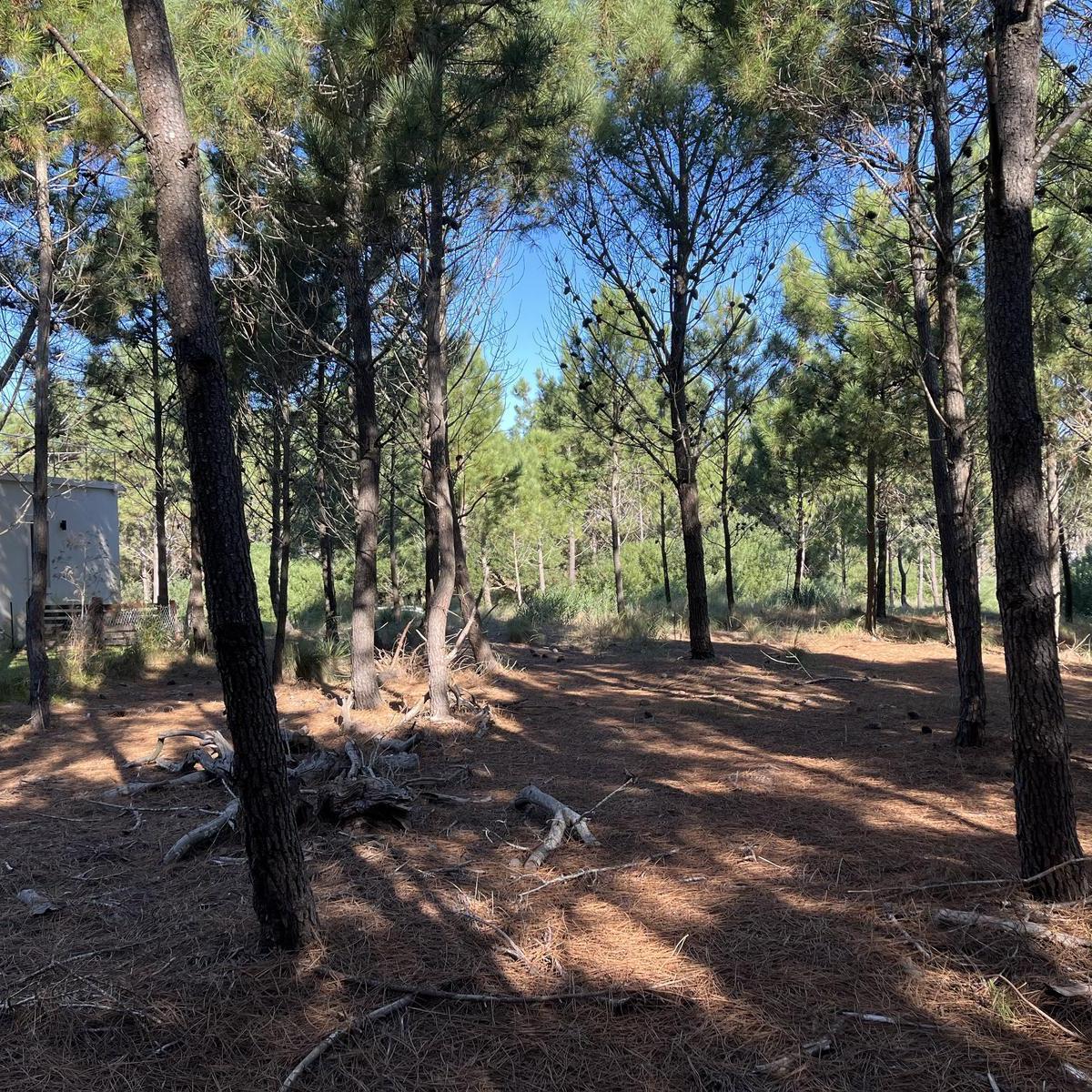 Terreno de 957 m² en Venta en Costa Esmeralda, Barrio Marítimo III 2